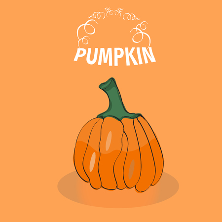 Tasty and healthy vegetable pumpkin.のイラスト素材