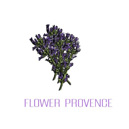 Lavender flower.  Card or banner. Vector hand drawnのイラスト素材