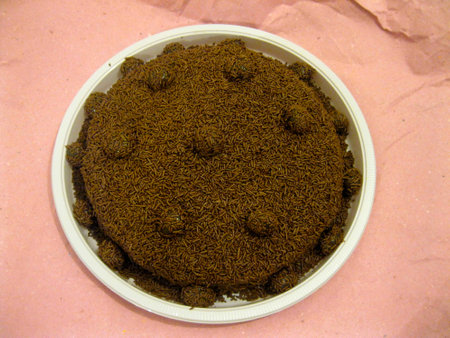 Bolo de brigadeiro.  Brigadier cakeの写真素材