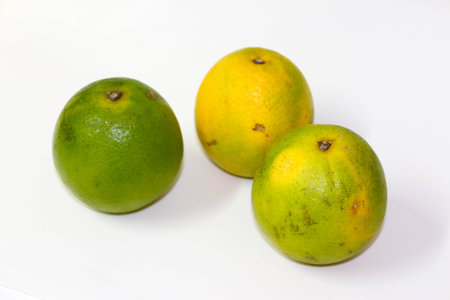 Orange-Pear, has a slightly sweet flavor, ideal for preparing juices or natural consumptionの写真素材