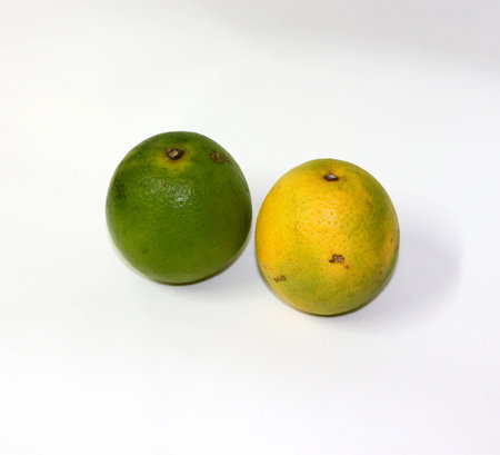 Orange-Pear, has a slightly sweet flavor, ideal for preparing juices or natural consumptionの写真素材