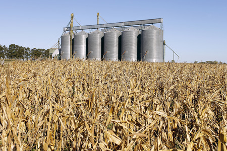 Silo grainsの写真素材