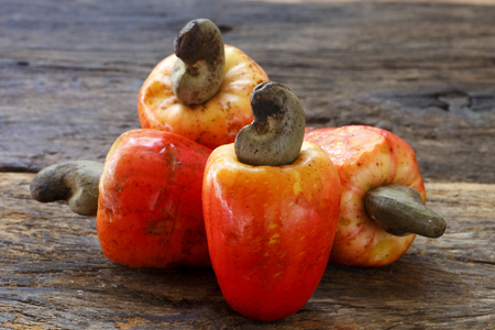 Cashew fresh originating from Para, Brazilの写真素材