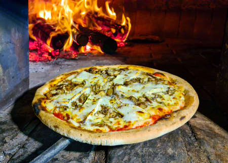 Baked pizza in the wood oven, brie cheeseの写真素材