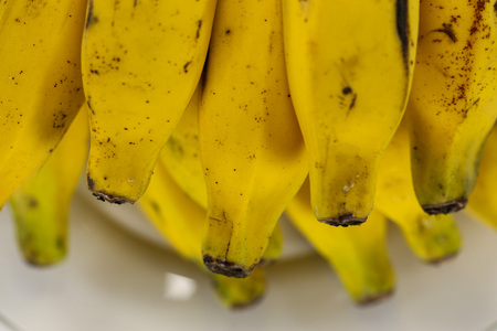 Brazilian Banana. View of bunch of bananas on white background. The tropical fruit is rich in fiber and potassium, being a good ally in the healthy diet.の写真素材