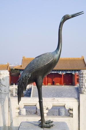 cooper craneの写真素材