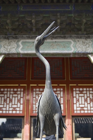 cooper craneの写真素材