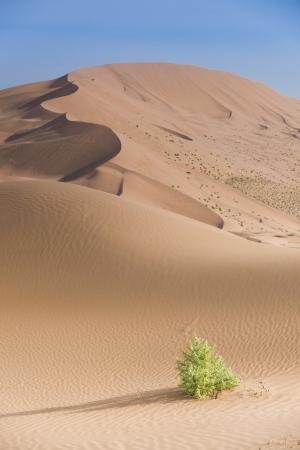 The Badan Jaran desert of Chinaの写真素材