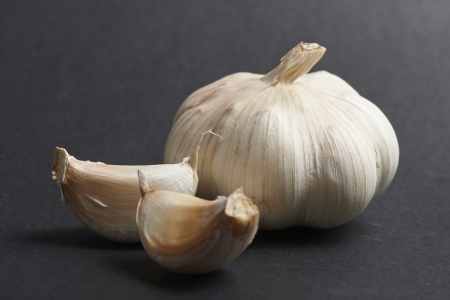 Garlicの写真素材