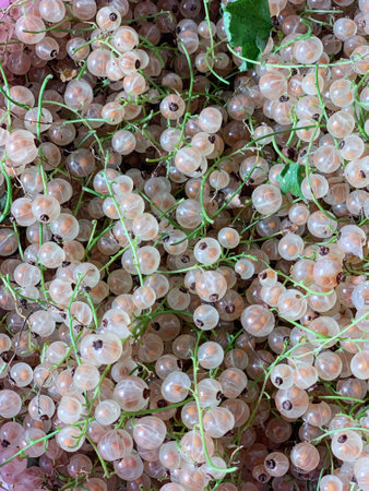 A heap of delicate white currants with vibrant green stems and leaves, perfect for adding a pop of...