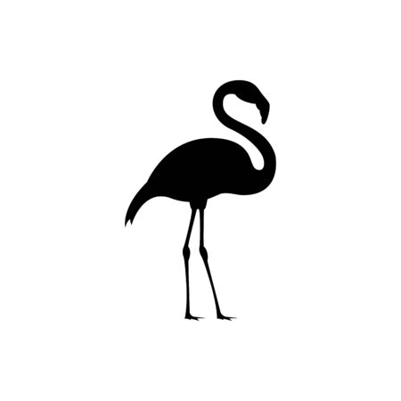 flamingo vector illustrationのイラスト素材