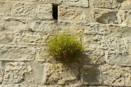 wallの写真素材