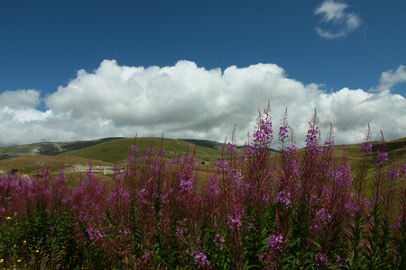 Gran Sasso plateauの写真素材