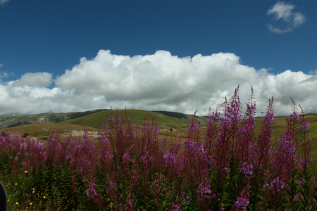 Gran Sasso plateauの写真素材