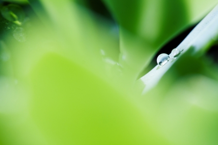 Water dropの写真素材