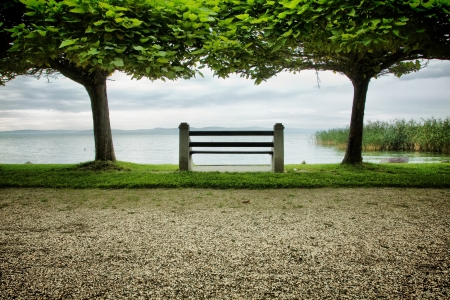 Two trees with a benchの写真素材