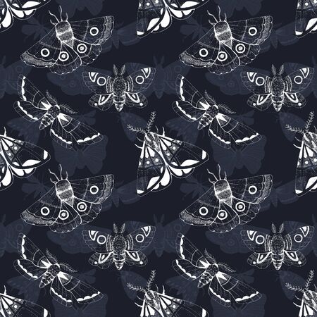 Black and white seamless pattern with white ink moth on dark backgroundの写真素材