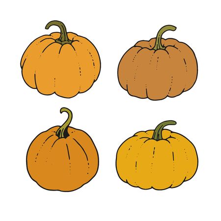 Collection of vector orange pumpkinのイラスト素材