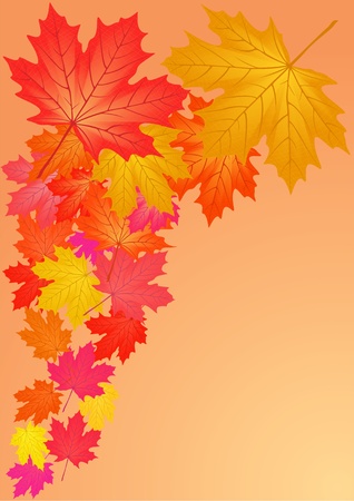 Autumn maple leaves,illustration.のイラスト素材