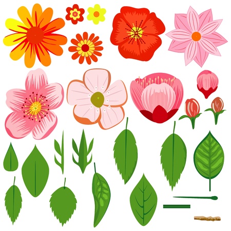 Brush illustration, illustration.のイラスト素材
