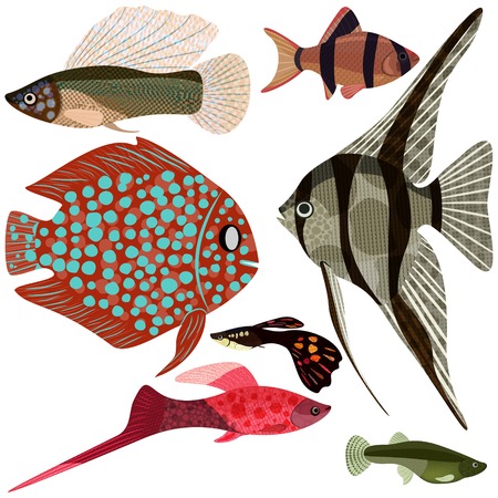 Collection exotic aquarium fishesのイラスト素材