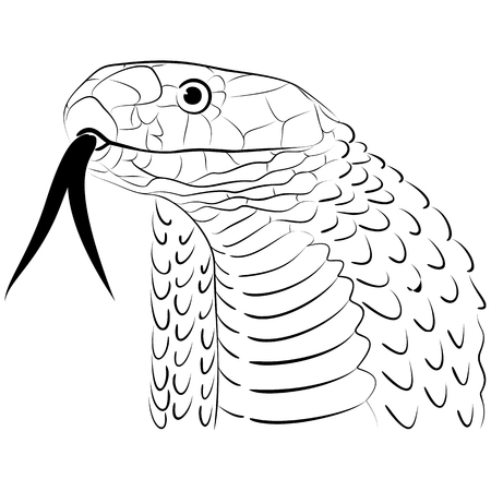 Stylized Snake Head Line Drawingのイラスト素材