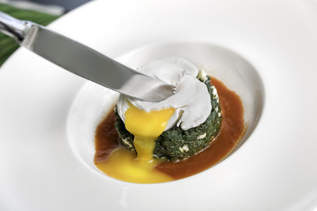 Stewed nettle with butter, cheese and poached eggの写真素材