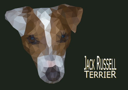 Jack Russell Terrier head low poly vector illustrationのイラスト素材