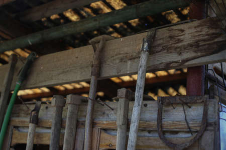Gardening tools hanging on a wooden grunge shed, garden maintenance conceptの写真素材