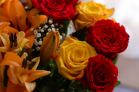 Bucketの写真素材