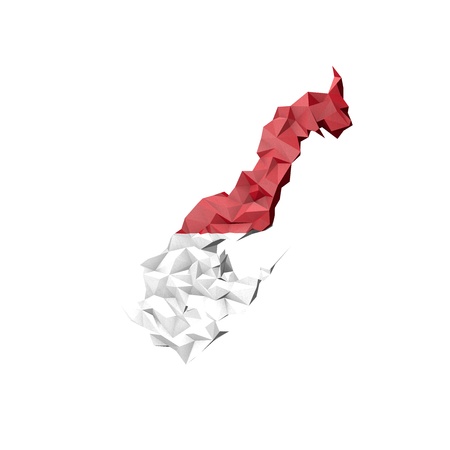 Low Poly Monaco Map with National Flag - Infographic Illustrationの写真素材