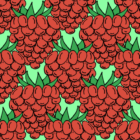 Hand Drawn Raspberry Pattern Background - Hand Drawn Seamless Fruits Pattern - Infographic or Surface Design Source Element - Vector Illustrationのイラスト素材