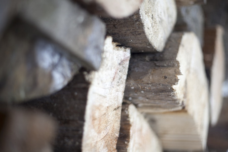 the background woodの写真素材