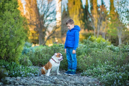 Cute handsome stylish boy enjoying colourful autumn park with his best friend red and white english...