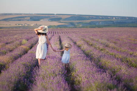 Young beautiful lady mother with lovely daughter walking on the lavender field on a weekend day in wonderful dresses and hatsの写真素材