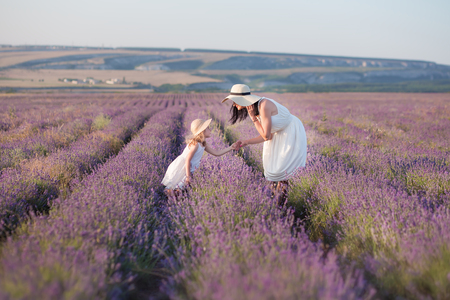 Young beautiful lady mother with lovely daughter walking on the lavender field on a weekend day in wonderful dresses and hatsの写真素材