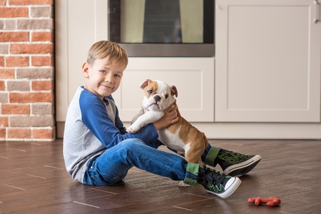 Cute boy playing with puppy english bulldog on kitchen.の写真素材