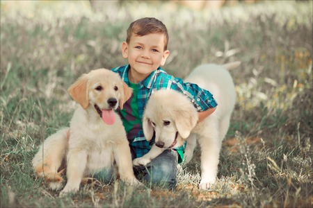 Cute handsome boy teen with blue eyes playing outdoor amazing white pink labrador retriever puppy...