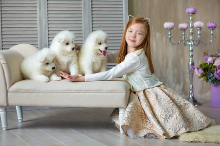 Portrait of ginger hair girl play with husky poppy.Model girl with red hair posing in studio shoot with sammy white puppy while sitting wooden floor close to couch sofa wearing cute dressの写真素材