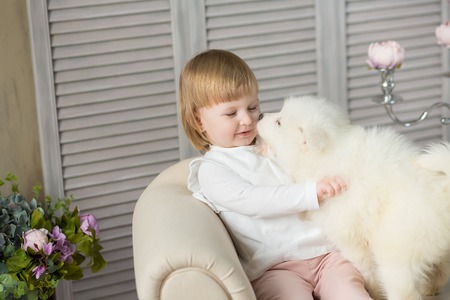 Portrait of blond baby girl play with husky puppy.Model girl with blond hair posing in studio shoot...