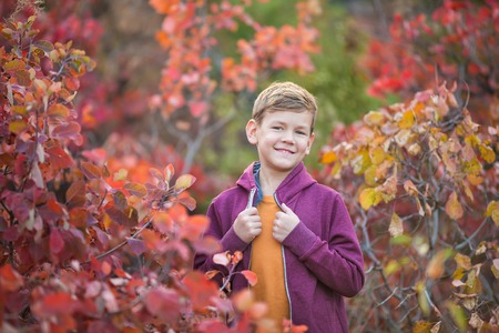 Cute handsome stylish boy enjoying colourful autumn park with his best friend red and white english bull dog.Delightfull scene of pretty boy together with bulldog in forest. Young teenager smilingの写真素材