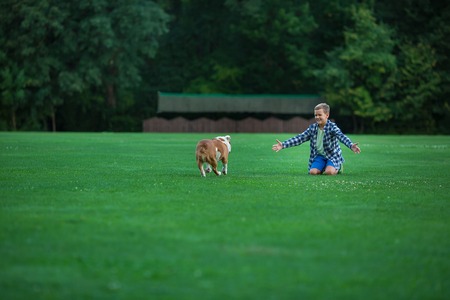 Little boy teenager with his dog bulldog in park on a sunny day on green grass park land enjoy life together with his friend.の写真素材