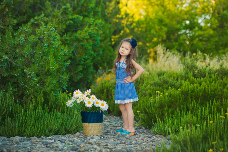 Young cute girl in jeans dress standing close to yellow flowers with basket full of chamomileの写真素材
