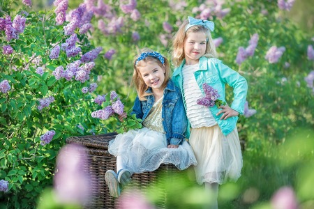 two cute smiling girls sisters lovely together on a lilac field bush all wearing stylish dresses and...