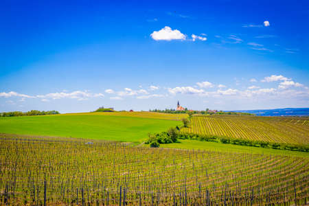 Moravia nature in Czech Republic.の写真素材