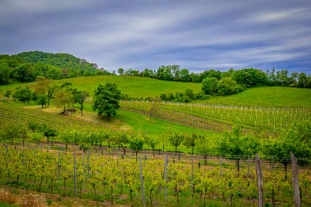 Moravia nature in Czech Republic.の写真素材