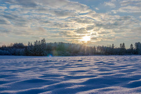 Beautiful winter nature in Bohemia region. Frozen nature.の写真素材