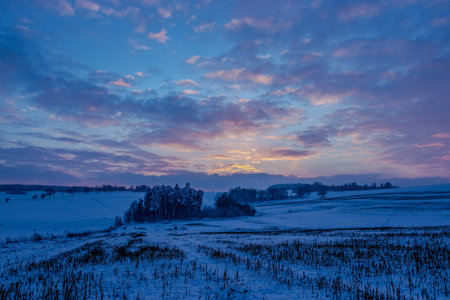 Beautiful winter nature in Bohemia region. Frozen nature.の写真素材