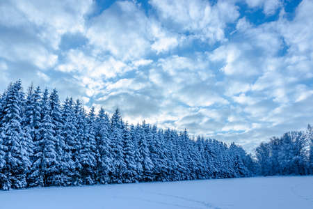 Beautiful winter nature in Bohemia region. Frozen nature.の写真素材