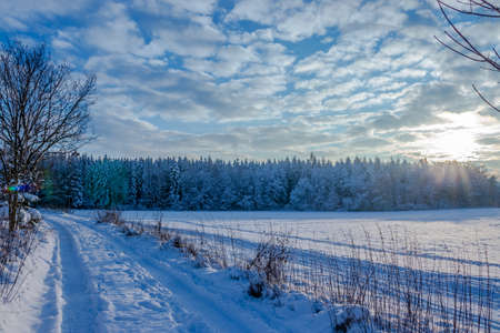 Beautiful winter nature in Bohemia region. Frozen nature.の写真素材